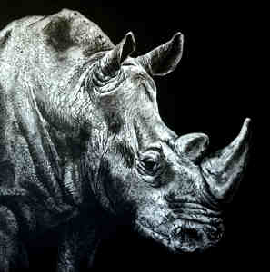 Tiziana Sanna Rinoceronte mostra Galleria Italia Parma