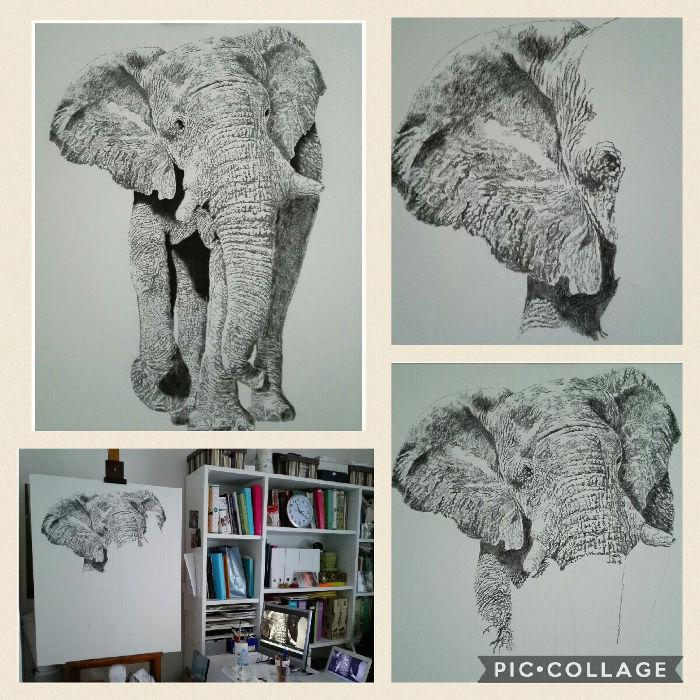 Olio su tela, 80 cm x 100 cm