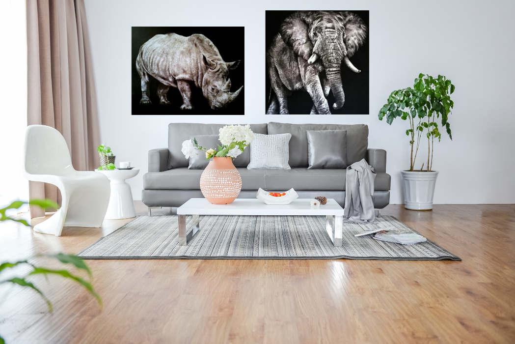 "Rinoceronte" e "Elefante"