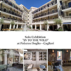 palazzo doglio