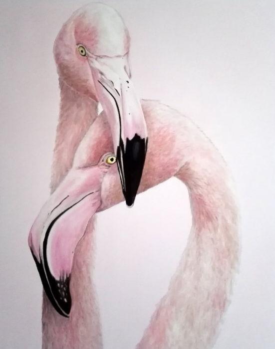 Oil on canvas, 80 cm x 100 cm. Endemic Sardnian Species Collection.
