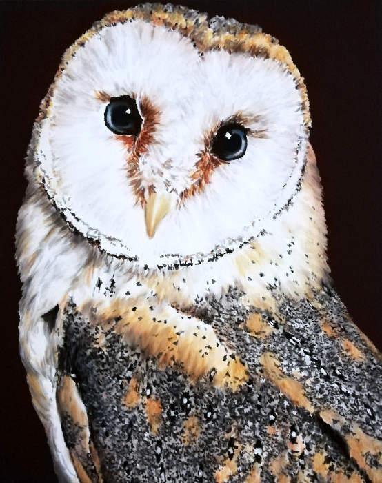 Acrylic on canvas, 40 cm x 60 cm. Endemic Sardnian Species Collection.