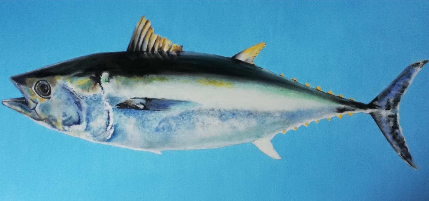Oil on canvas, 80 cm x 40 cm